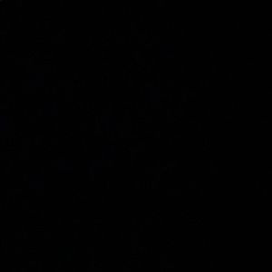 Meet your Posher, Jacqueline